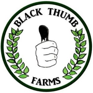 Cropped-black-thumb-farms-logo-300x300