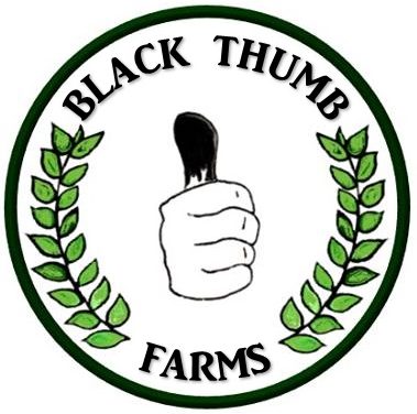 Cropped-black-thumb-farms-logo